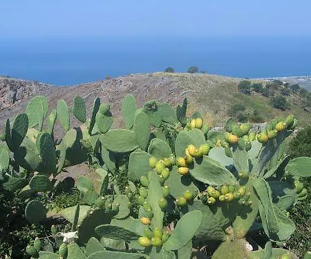 S. Giacomo Grisolia